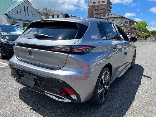 NEW308GT Blue Nappa Edition 【グリ・アルタンス】