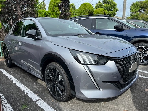 NEW208 GT Premium Edition 【グリ・アルタンス】