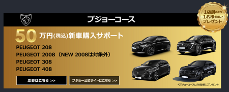 SUPER BLACK FRIDAYS