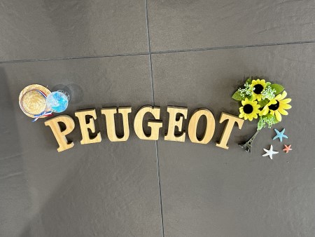 ショールームが夏仕様に🌻