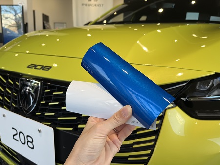 NEW208アゲダ・イエロー