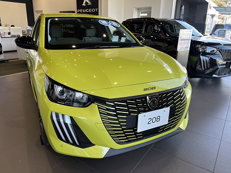 春らしいビビットカラーはいかがでしょう