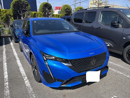 春らしいビビットカラーはいかがでしょう