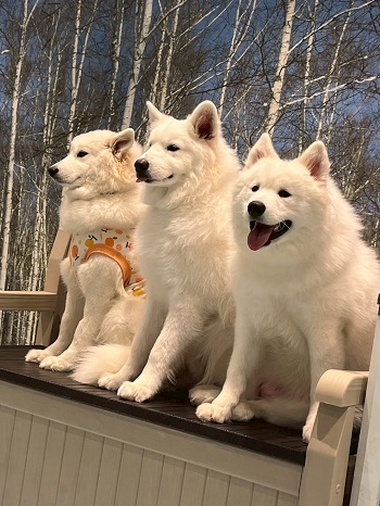 もふもふ空間♡