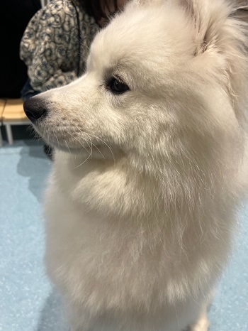 もふもふ空間♡