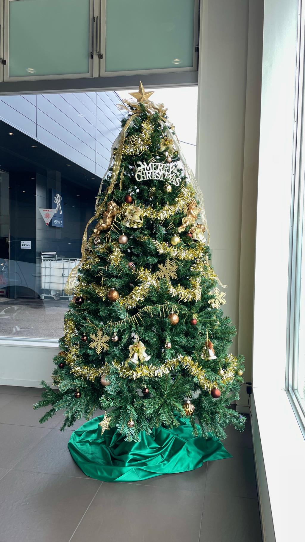 クリスマスツリーを飾りました☆