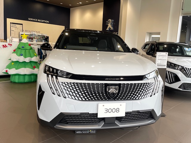 NEW3008　フロントデザイン