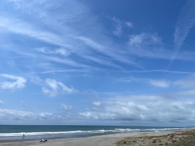 海