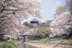 岡崎市