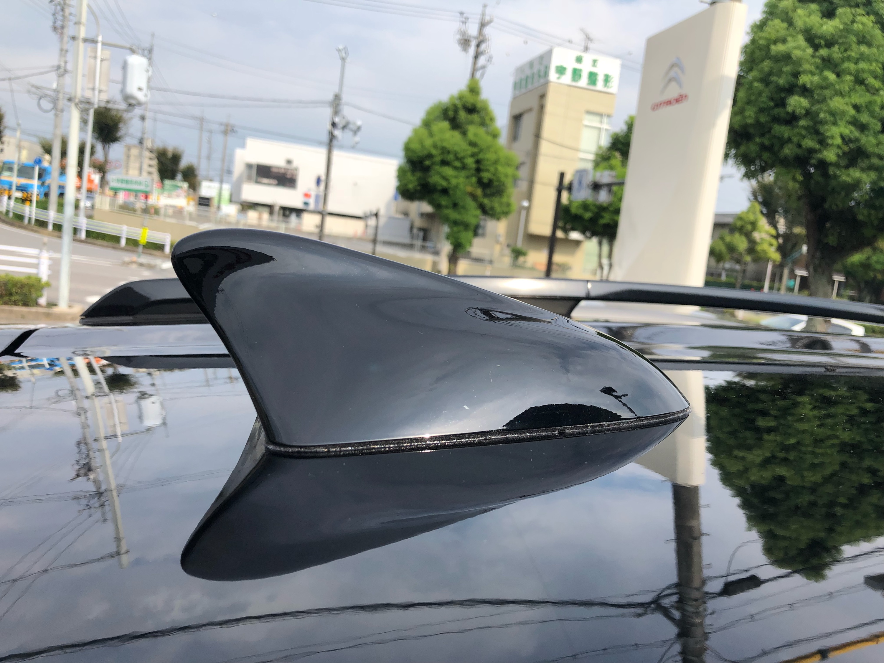 ドルフィンアンテナ🐬