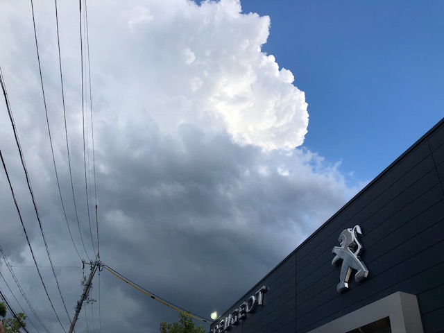 シトロエンショールーム改装工事のお知らせ