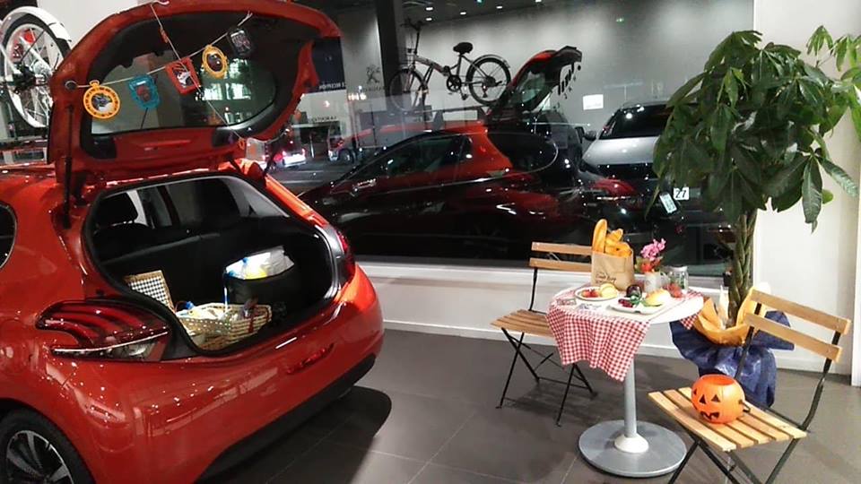 太陽の様な208でピクニック