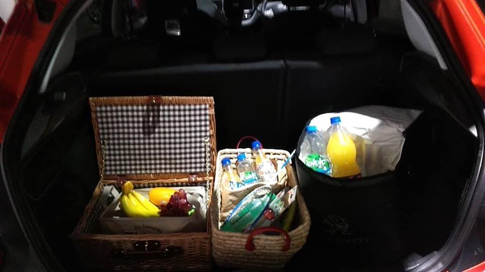 太陽の様な208でピクニック