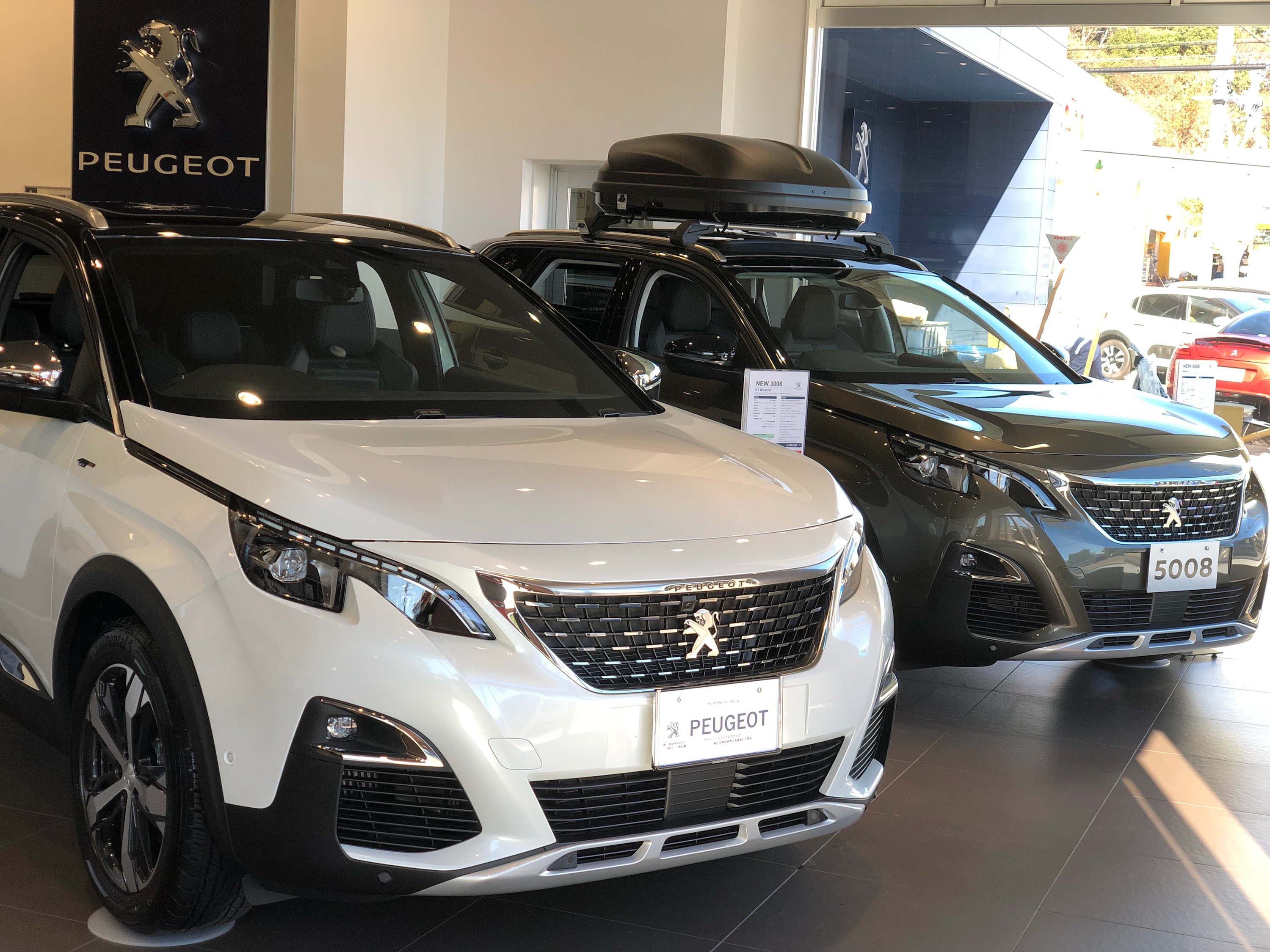 展示車入れ替え