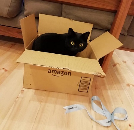 遅ればせながら…1月です