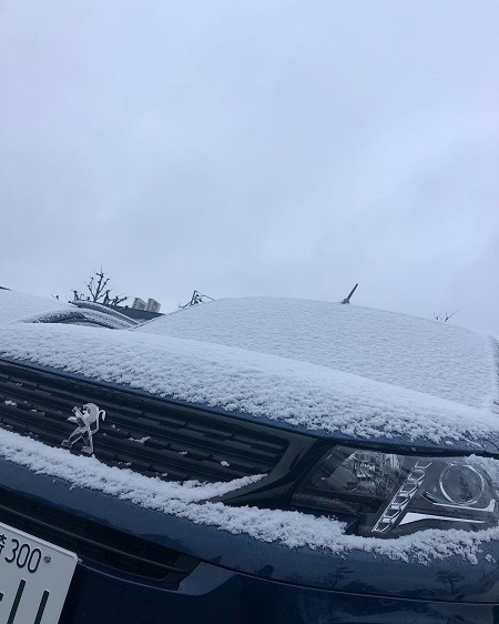 PCR検査をしました