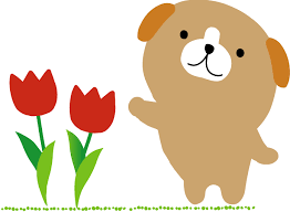 春が近づいてきました🌸