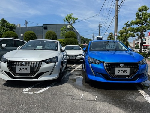 認定中古車あります☆