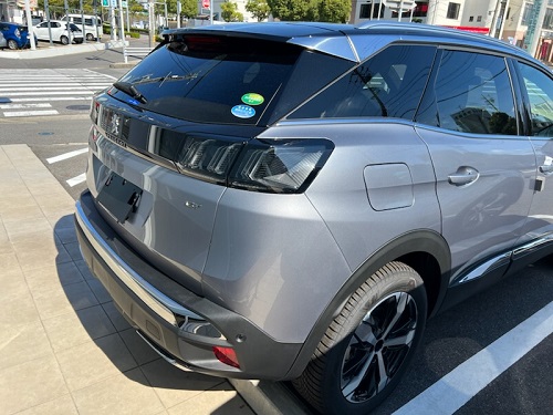 3008GT Executive Edition